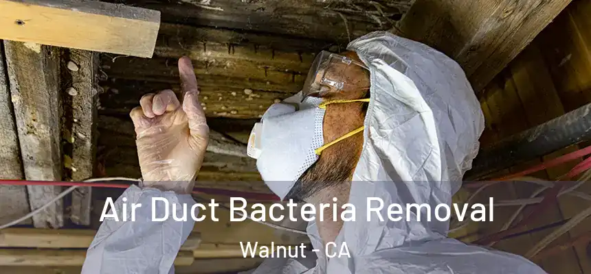 Air Duct Bacteria Removal Walnut - CA