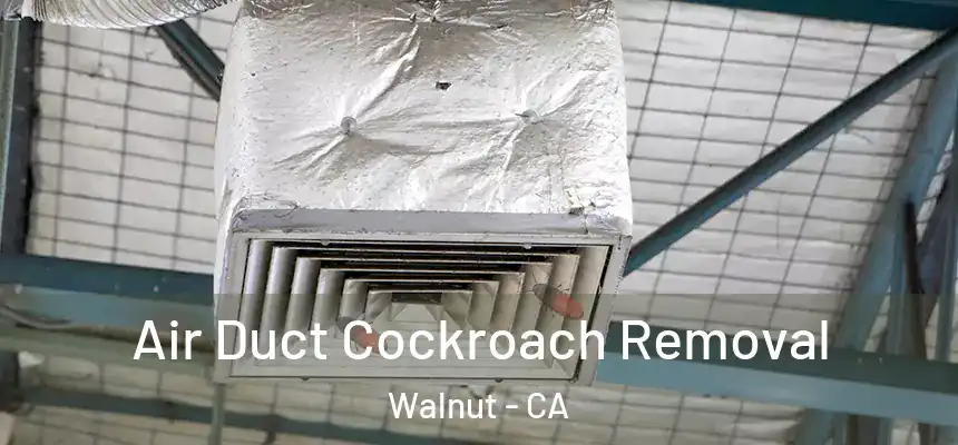 Air Duct Cockroach Removal Walnut - CA