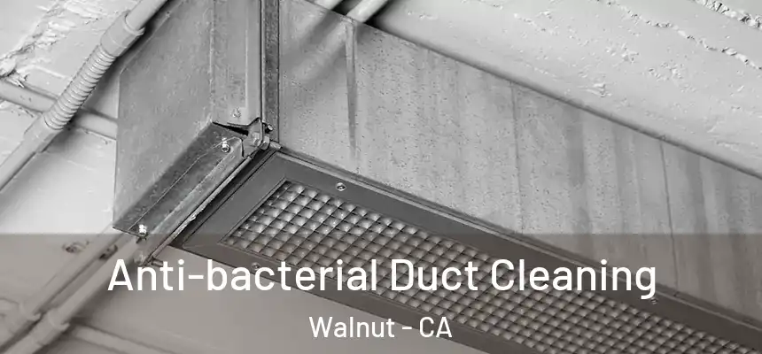  Anti-bacterial Duct Cleaning Walnut - CA