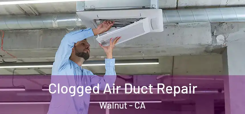  Clogged Air Duct Repair Walnut - CA