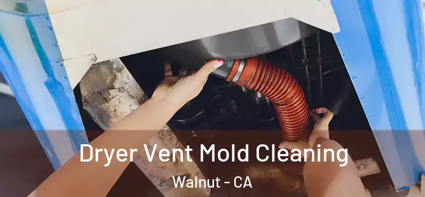 Dryer Vent Mold Cleaning Walnut - CA