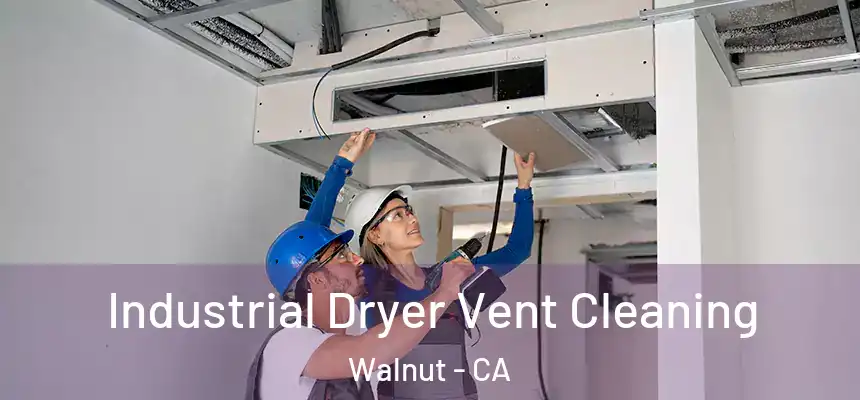 Industrial Dryer Vent Cleaning Walnut - CA