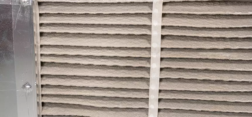 Mobile Car AC Filter Replacement in Walnut