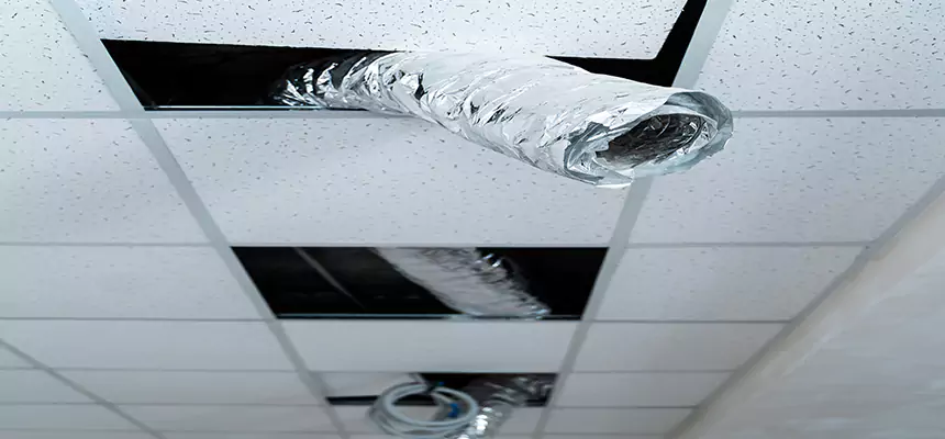 Our Air Duct Pet Hair Removal Services in Walnut, CA