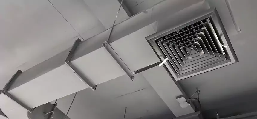 Restorative Allergy Relief Vent Cleaning – Coil, Blower & Housing Detail in Walnut