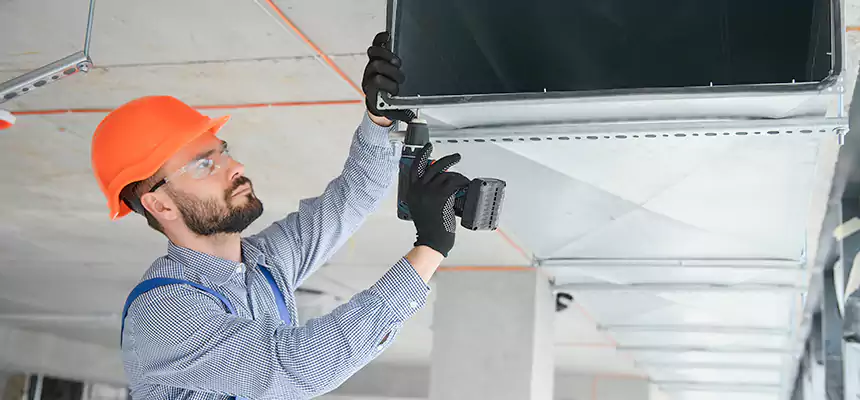 Roof Cap & Exterior Hood Lint Buildup Removal – Walnut