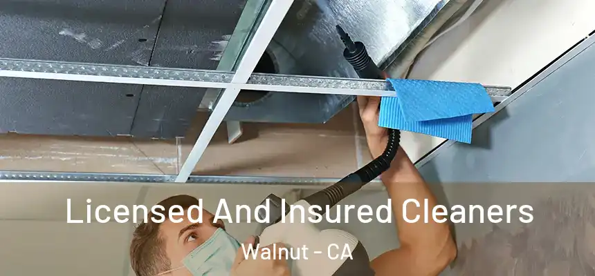 Licensed And Insured Cleaners Walnut - CA