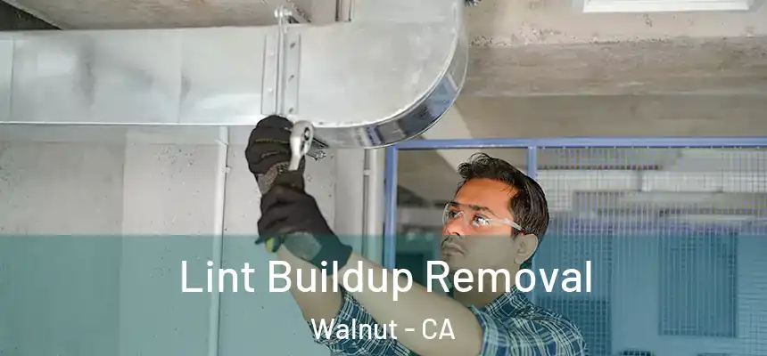  Lint Buildup Removal Walnut - CA