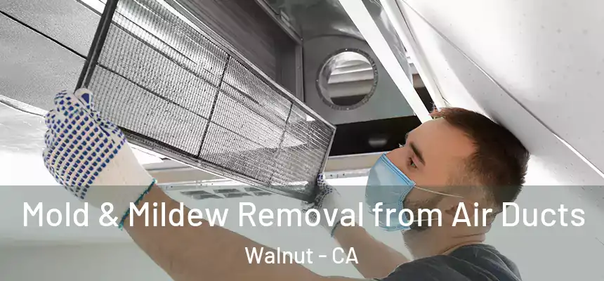  Mold & Mildew Removal from Air Ducts Walnut - CA