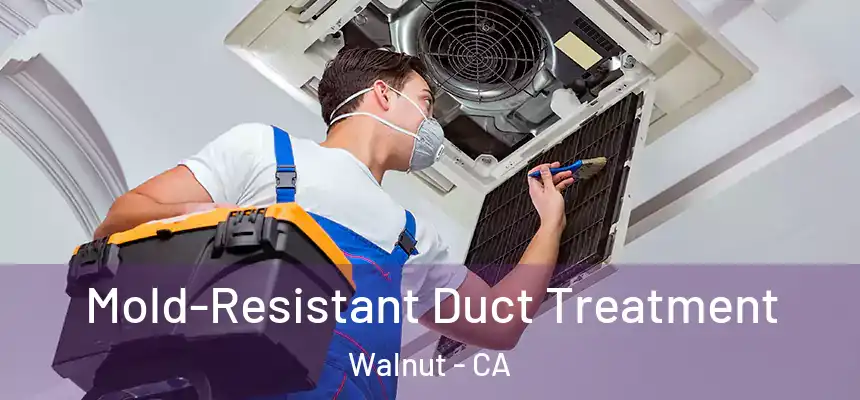 Mold-Resistant Duct Treatment Walnut - CA