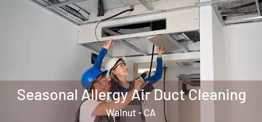  Seasonal Allergy Air Duct Cleaning Walnut - CA
