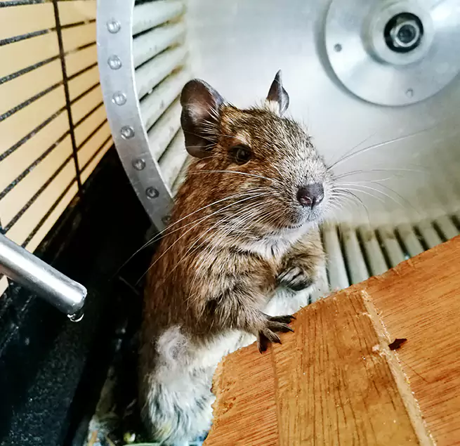 Why Homeowners & Businesses Trust Us Walnut, CA