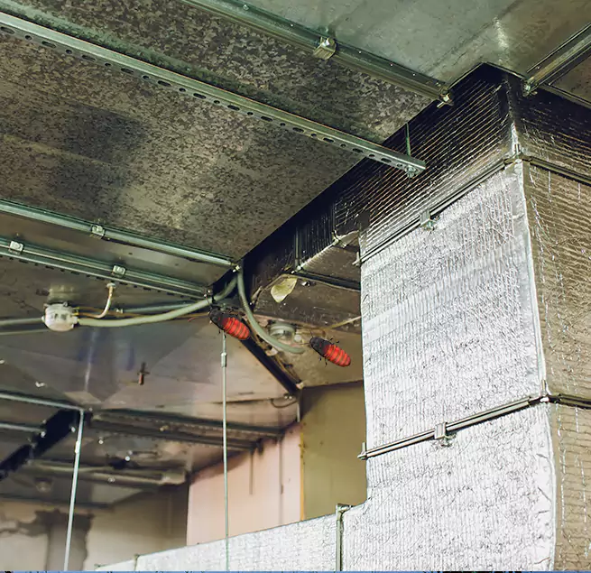 Why Homeowners & Businesses Trust Us Walnut, CA?