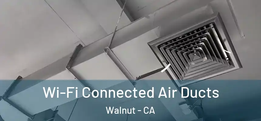 Wi-Fi Connected Air Ducts Walnut - CA
